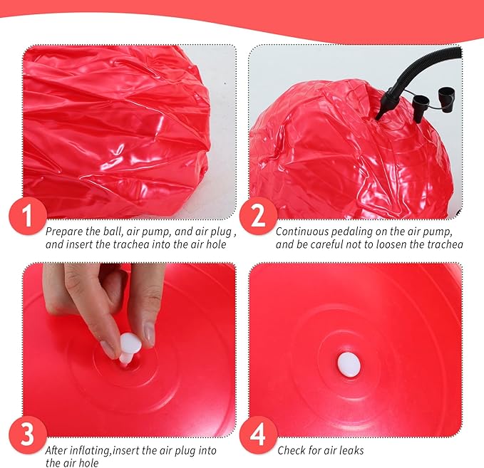 Hungdao 6 Pack Exercise Ball Bulk Inflatable Pregnancy & Workout Ball 22 Inch Heavy Duty Pilates Ball for Yoga Stretching Therapy Balance Physical Fitness