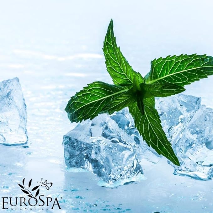 EuroSpa Aromatics Pure Eucalyptus Oil ShowerMist and Steam Room Spray, All-Natural Premium Aromatherapy Essential Oils - Mint Infused, 2oz, 2 Pack