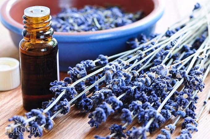 EuroSpa Aromatics Pure Eucalyptus Oil ShowerMist and Steam Room Spray, All-Natural Premium Aromatherapy Essential Oils - Lavender Infused, 2oz
