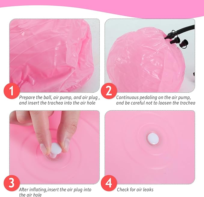 Hungdao 6 Pack Exercise Ball Bulk Inflatable Pregnancy & Workout Ball 22 Inch Heavy Duty Pilates Ball for Yoga Stretching Therapy Balance Physical Fitness