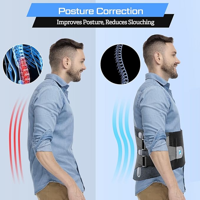 NEENCA Lower Back Brace for Lower Back Pain Relief, Medical Grade Lumbar Support Belt for Women Men, Herniated Disc,Lumbar Strain,Sciatica, Scoliosis (Black, Large)