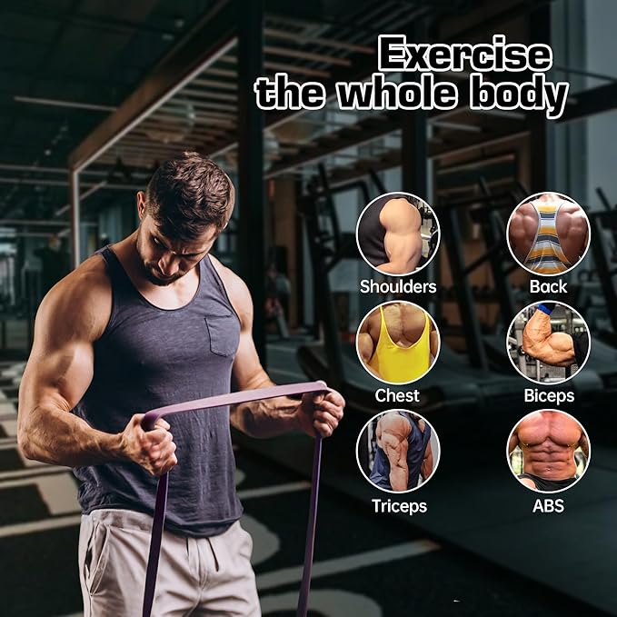 Resistance Bands Set for Pull-Up Assistance & Muscle Training, Exercise Bands for Men/Women, Workout Bands for Full-Body Training, Physical Therapy, Body Stretching