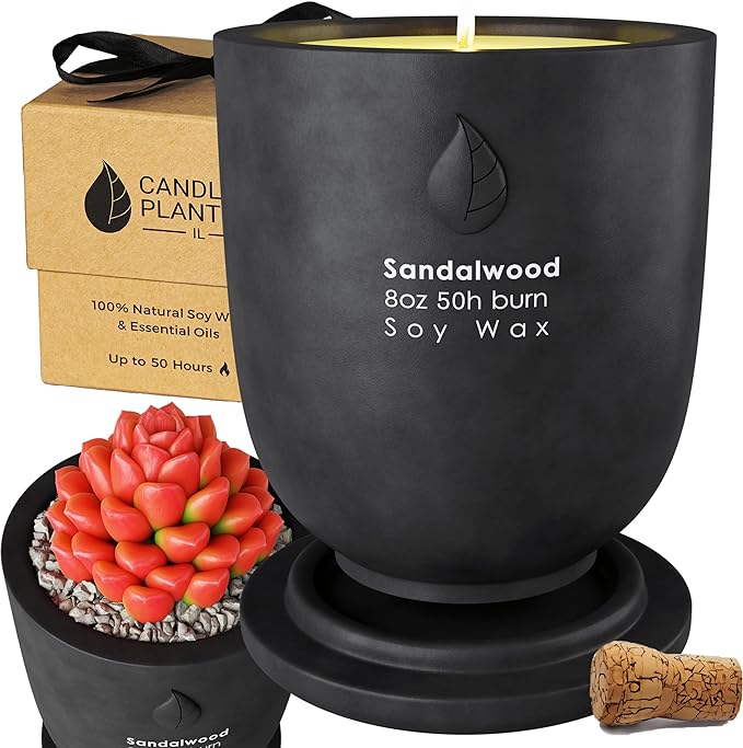Matani Concrete Cement Candle Planter - Aromatherapy Soy, Dual Purpose Jar Gift (Black Sandalwood)